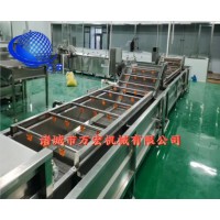 多功能果蔬气泡清洗机