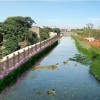 供应浙江杭州河道除臭剂、宁波河道除臭剂