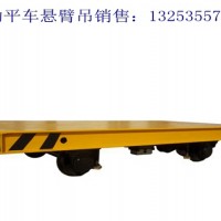 湖北荆州电动平车销售厂家多种型号厂房轨道平车