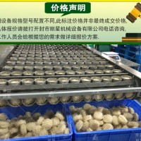 速食粉丝加工设备自动化控制 丽星酸辣粉机器使用方式更简单