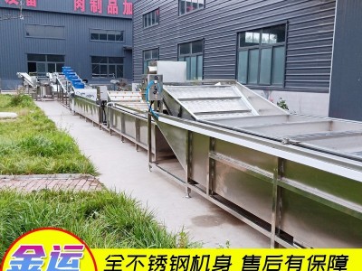 可定制气泡清洗机 净菜加工流水线 菠菜油菜黄瓜芹菜洗菜机图3