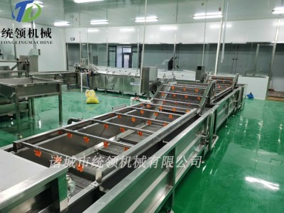 多功能果蔬气泡清洗机 蔬菜清洗流水线 净菜加工流水线图3