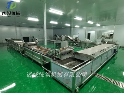 多功能果蔬气泡清洗机 蔬菜清洗流水线 净菜加工流水线图2