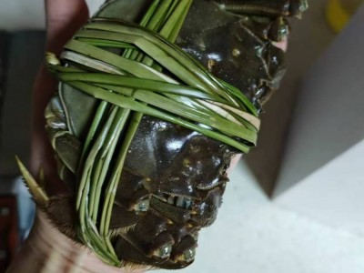 大闸蟹批发，每晚6点更新价格图3