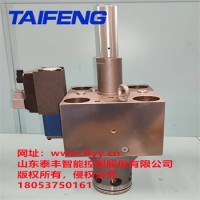 供应泰丰TLCF100-2WRCD-1X双主动比例阀