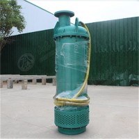矿用隔爆型潜水排沙电泵 BQS-25-10-2.2型 有煤安证