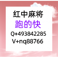 常识科普有哪些红中麻将24小时一元一分红中麻将微信群