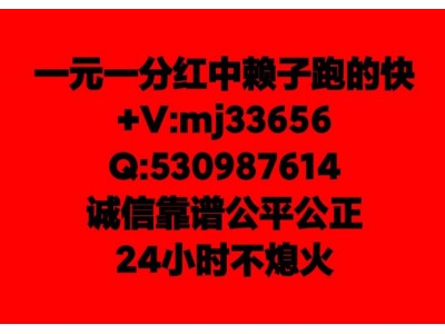 哪里有跑得快群一块一分者的印不二之选