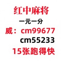 【希望】哪里有红中麻将群一元一分到哪里找