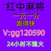 今日推荐24小时红中麻将群@2025已更新不用押金哔哩哔哩